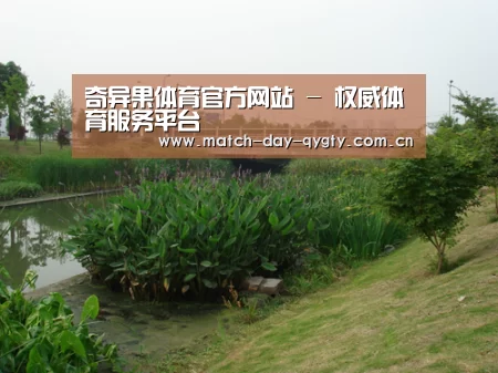 案例展示四(图1)