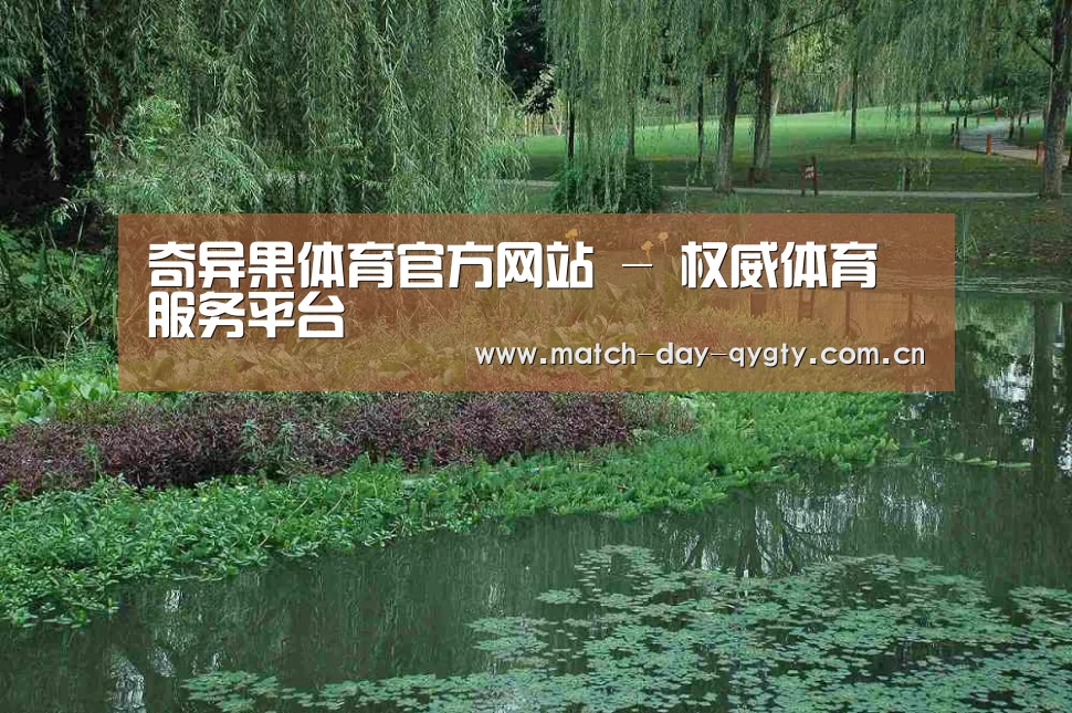 案例展示一(图1)
