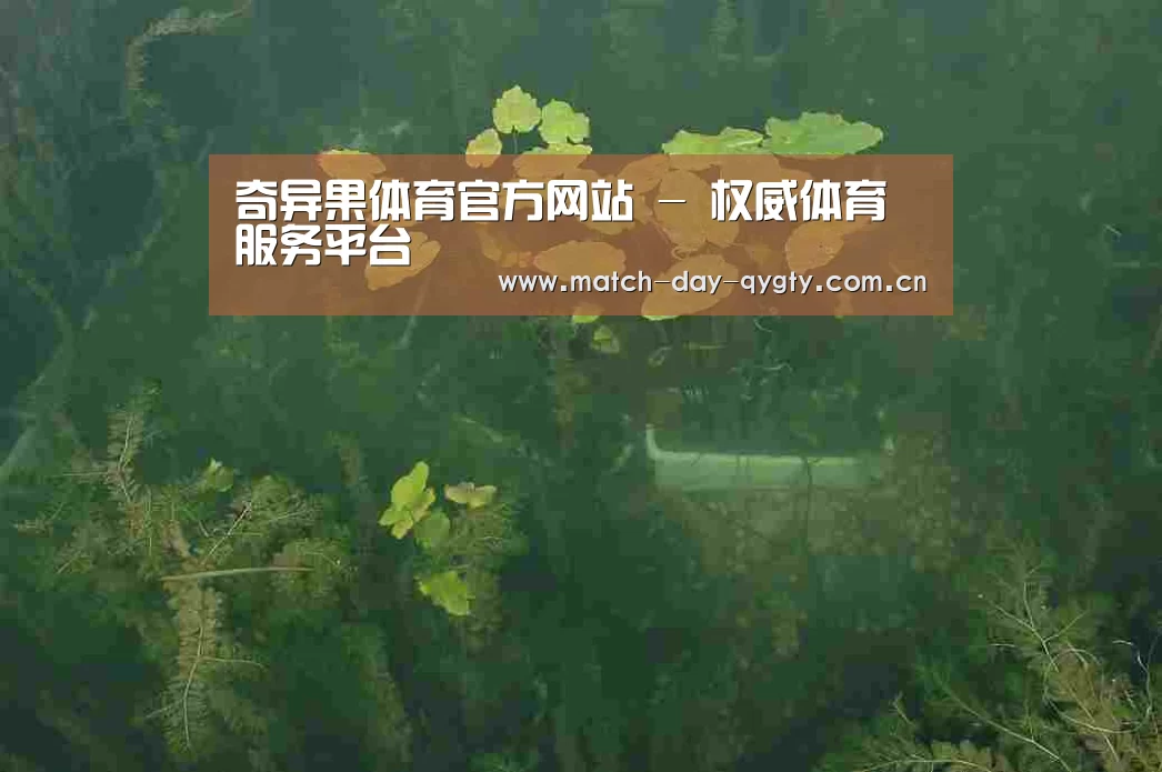 案例展示三(图1)