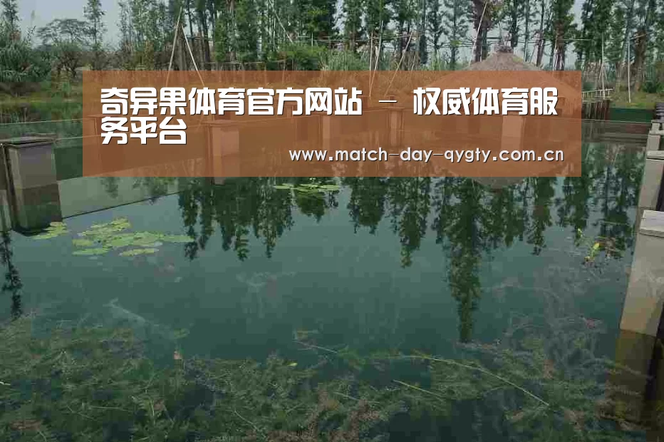 案例展示二