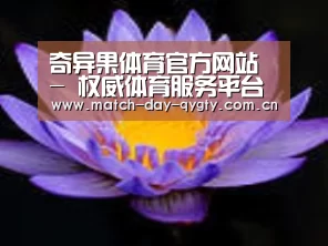 产品名称六