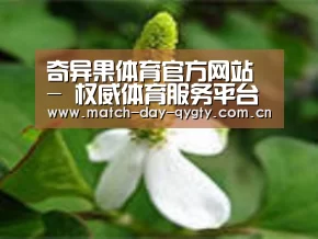 产品名称三