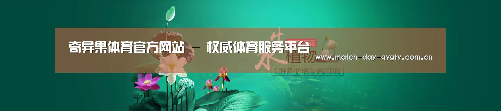 鲜花水草花卉网站模板